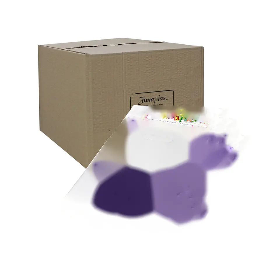 BOLSA VIOLETA LUNAR 20X30 (10) => 10 Unidad/es 2