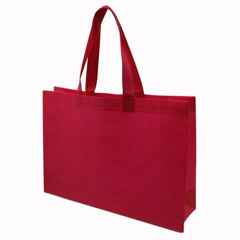 BOLSA REUTILIZABLE GRANDE => 1 Unidad/es