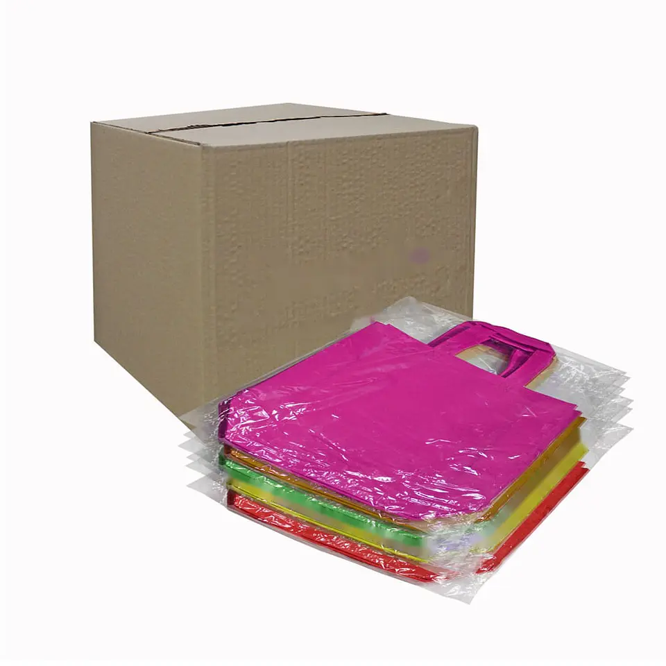 BOLSA REUTILIZABLE CHICA => 1 Unidad/es 2