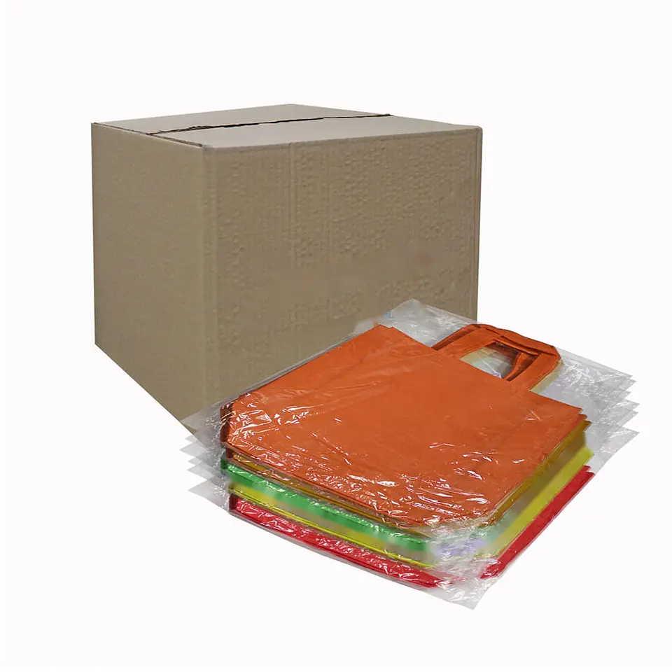 BOLSA REUTILIZABLE GRANDE => 1 Unidad/es 2