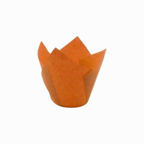 TULIPS NARANJA 715050PAW => 10 Unidad/es