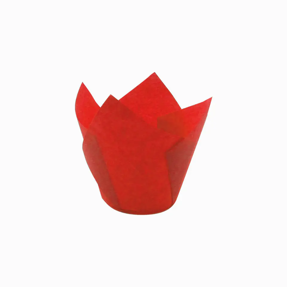 TULIPS ROJO 715050PAW => 10 Unidad/es 1