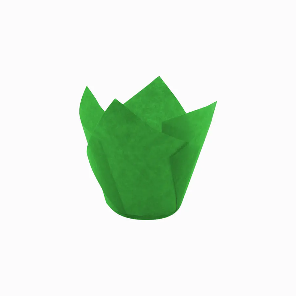 TULIPS VERDE 715050PAW => 10 Unidad/es 1