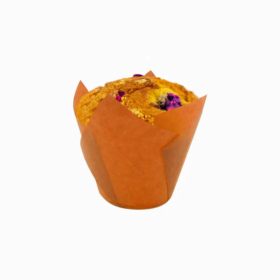 TULIPS NARANJA 715050PAW => 10 Unidad/es 2