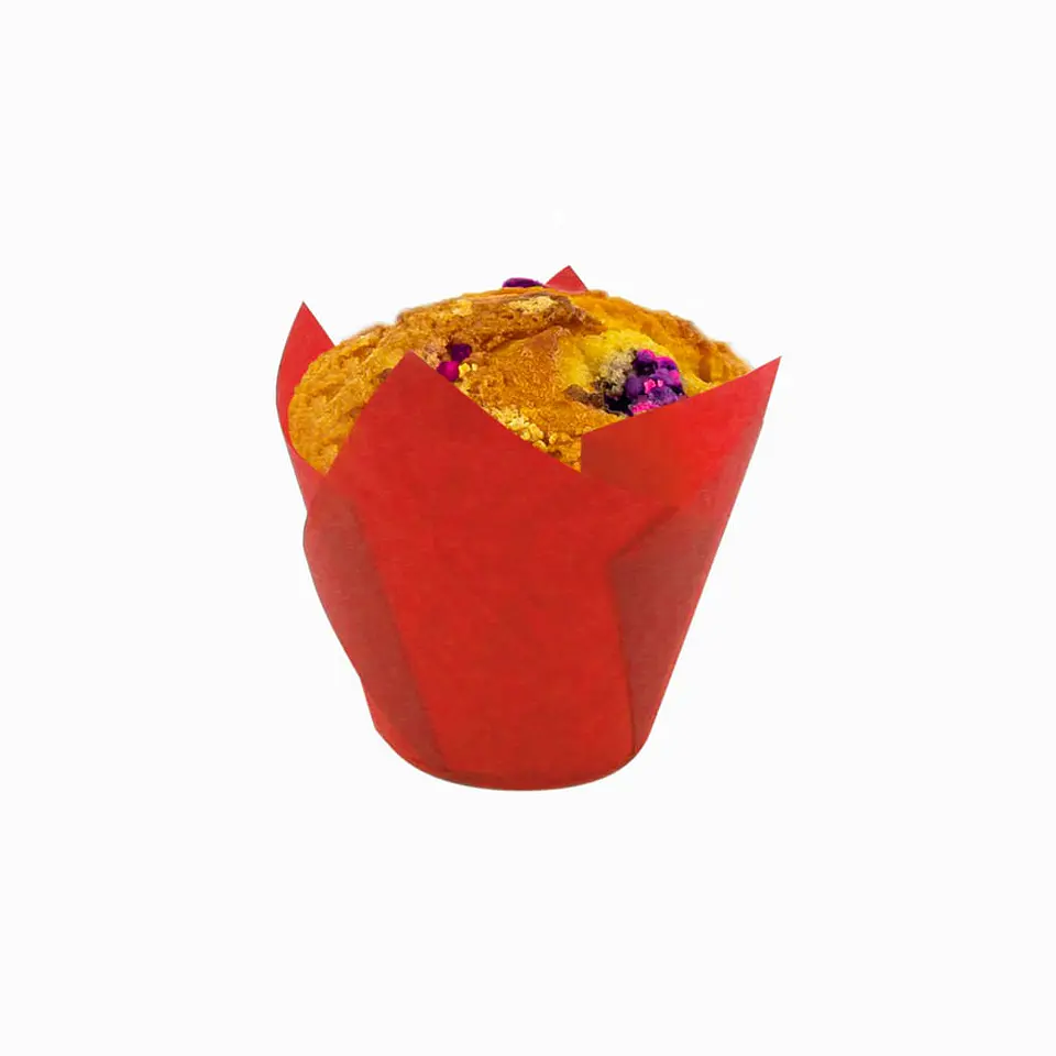 TULIPS ROJO 715050PAW => 10 Unidad/es 2