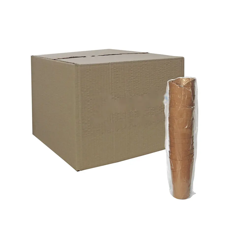 CAJA KRAFT-PLA PAPAS FRITAS 12 => 10 Unidad/es 2