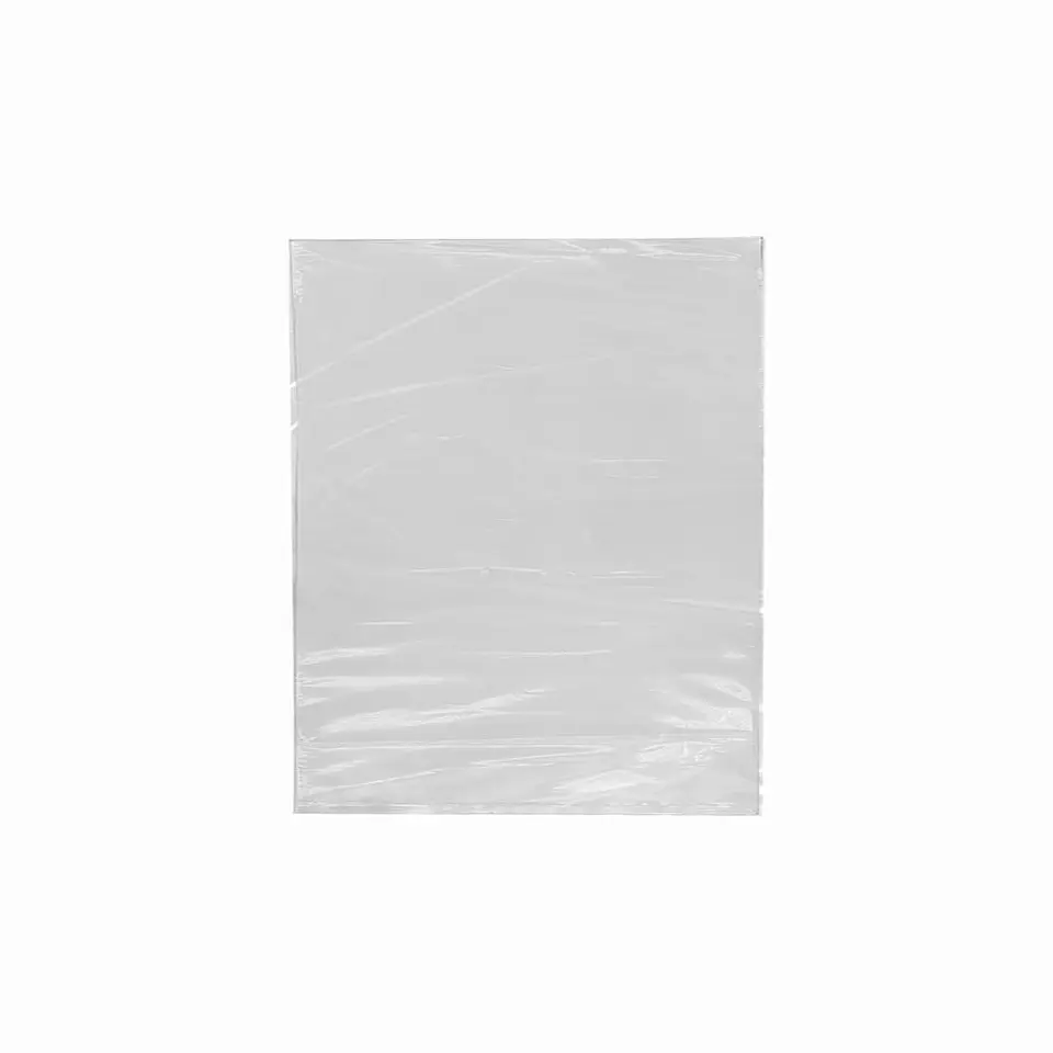BOLSA 20X25X0.0022 P.E. NATURAL => 100 Unidad/es 1