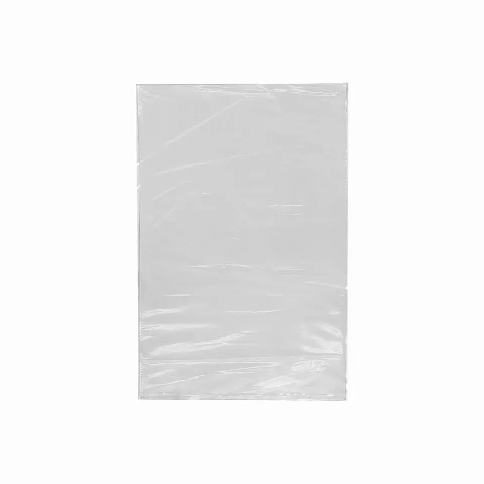 BOLSA 20X50X0.0022 P.E. NATURAL => 100 Unidad/es 1