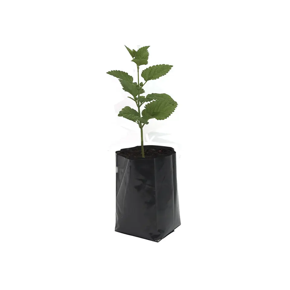 BOLSA 15X15X0.006 F/TOPE NEGRA => 100 Unidad/es 2