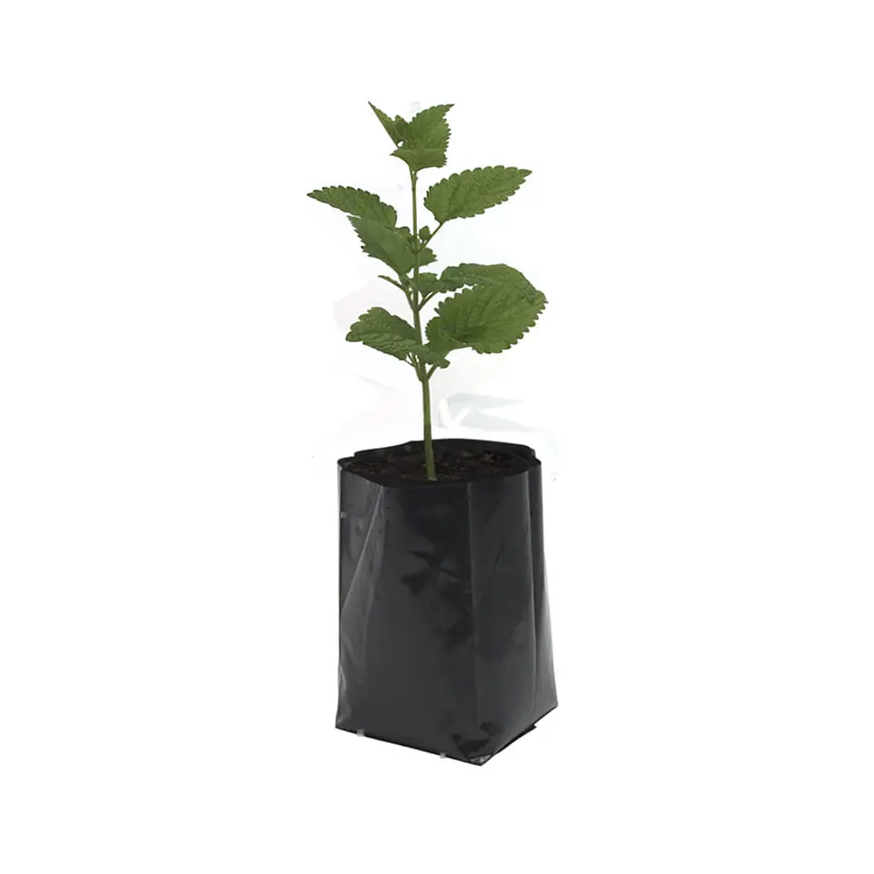 BOLSA 20X25X0.0065 F/TOPE NEGRA => 100 Unidad/es 2