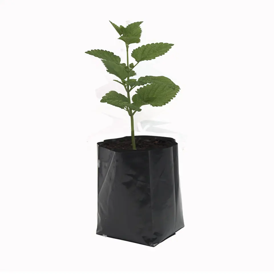 BOLSA 35X35X0.008 F/TOPE NEGRA => 100 Unidad/es 2