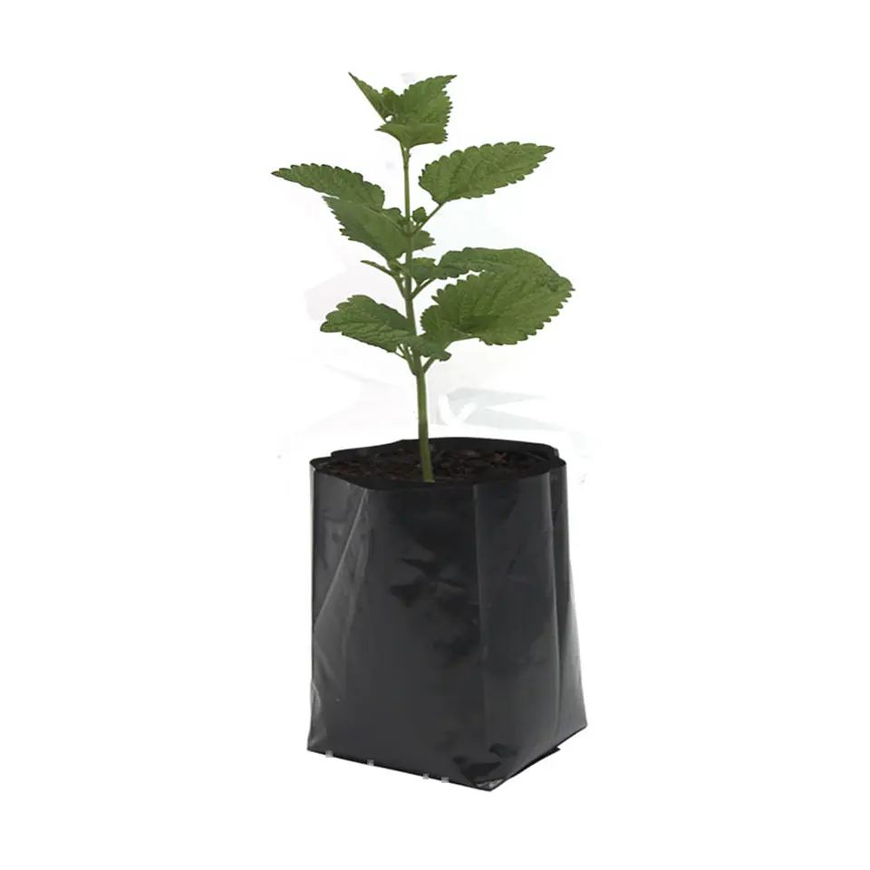 BOLSA 40X40X0.010 F/TOPE NEGRA => 50 Unidad/es 2