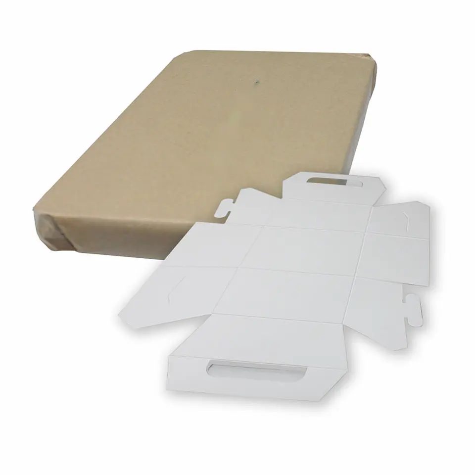 CAJA PAPAS FRITAS BLANCA 02 => 10 Unidad/es 3