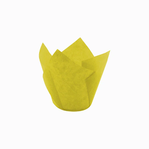 TULIPS AMARILLO 715050PAW => 10 Unidad/es