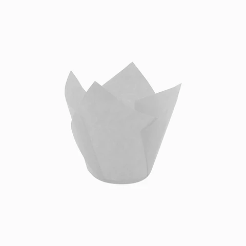 TULIPS BLANCO 715050PAW => 10 Unidad/es