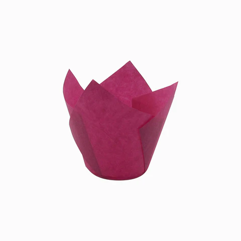 TULIPS FUCSIA 715050PAW => 10 Unidad/es