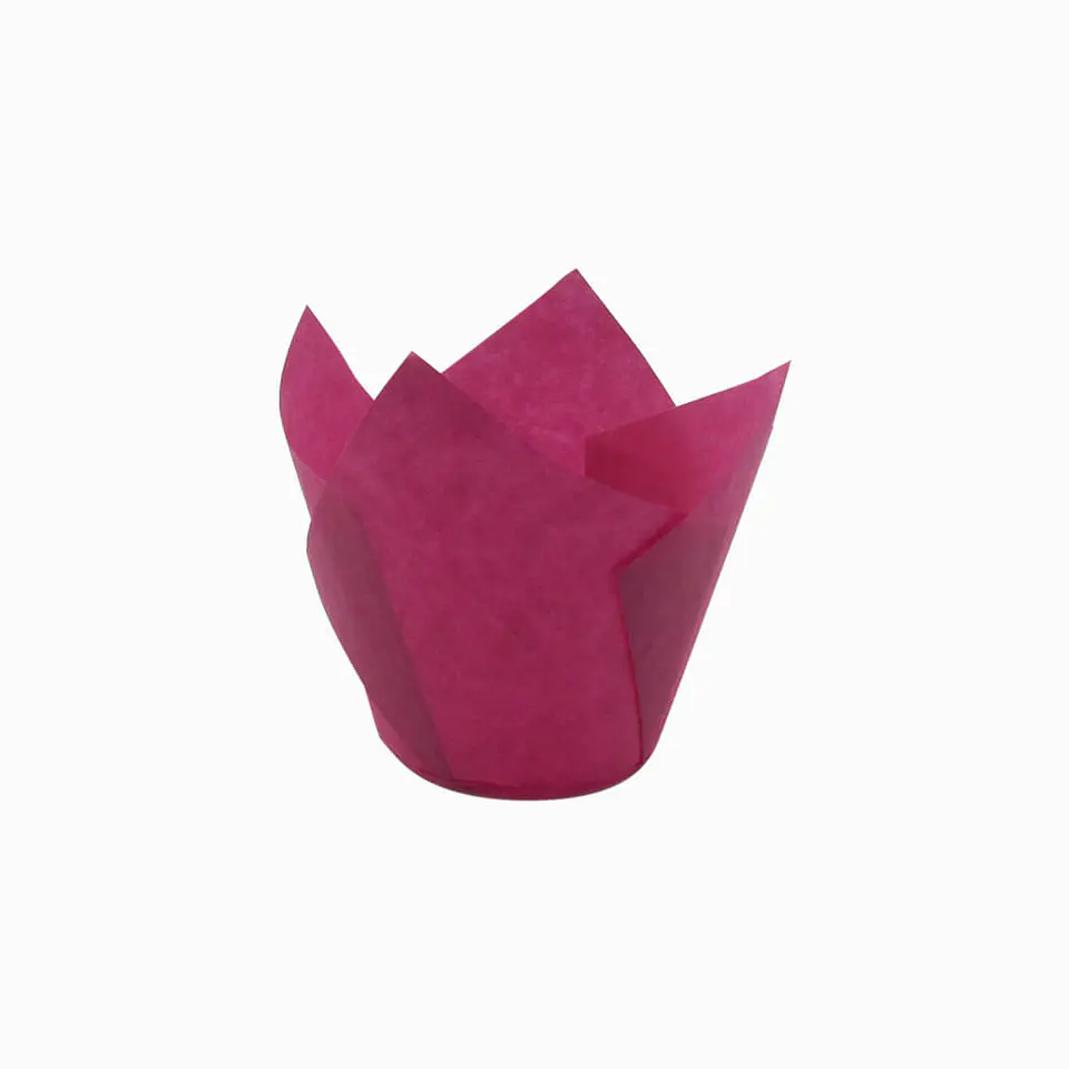 TULIPS FUCSIA 715050PAW => 10 Unidad/es 1