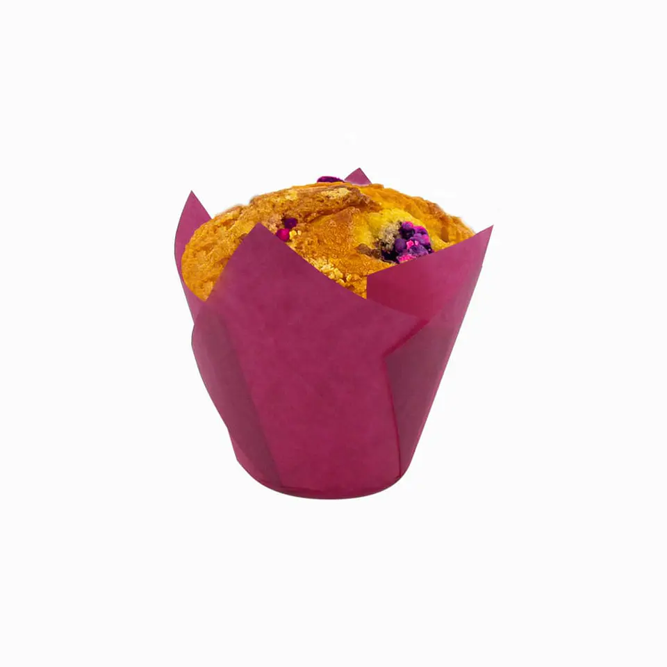 TULIPS FUCSIA 715050PAW => 10 Unidad/es 2