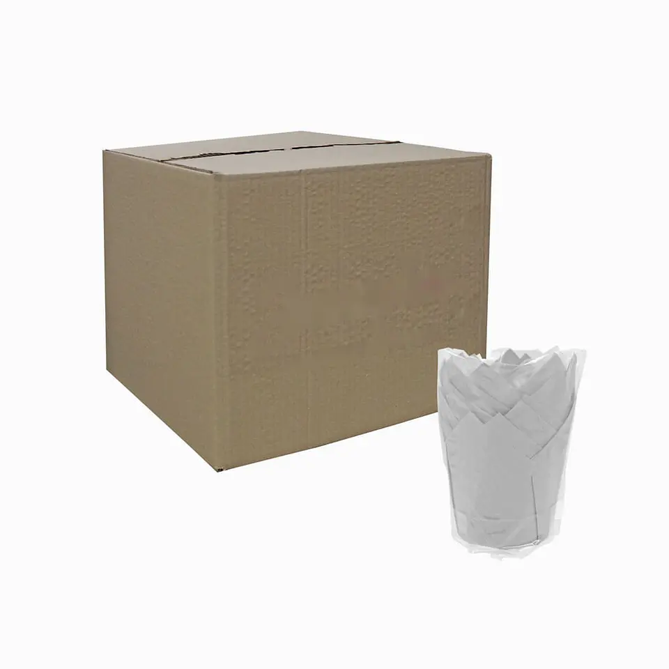TULIPS BLANCO 715050PAW => 10 Unidad/es 3
