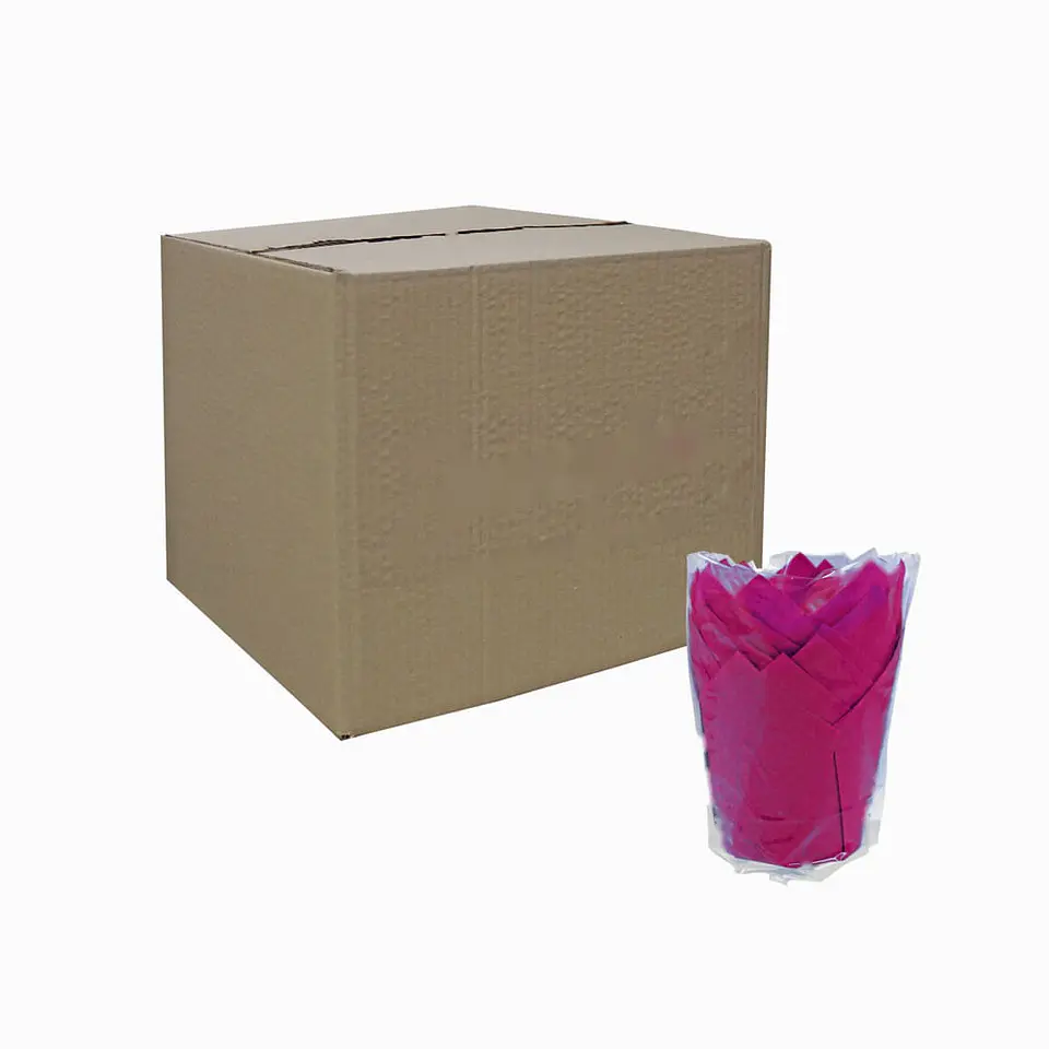 TULIPS FUCSIA 715050PAW => 10 Unidad/es 3