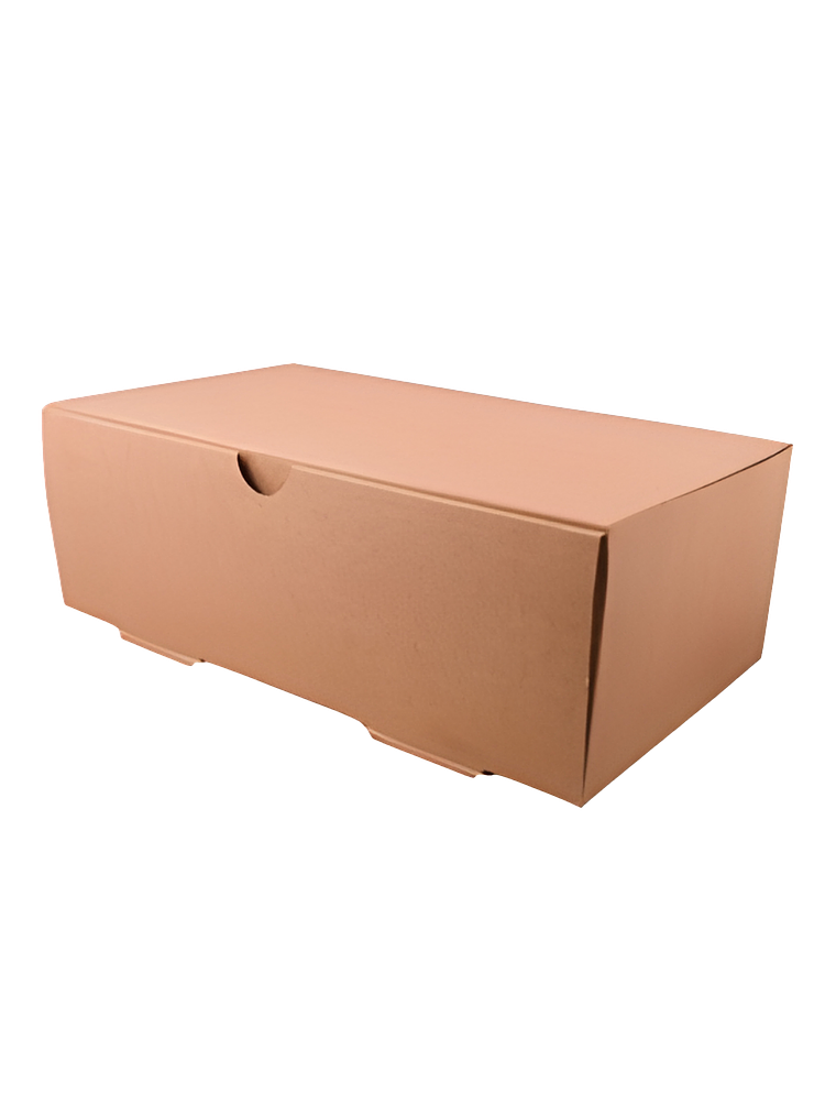CAJA DELIVERY DE CARTÓN 2