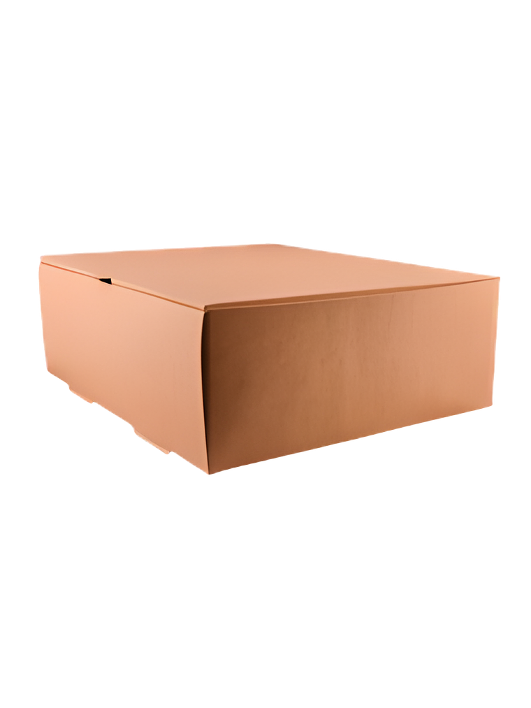 CAJA DELIVERY DE CARTÓN 4