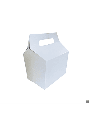 CARTÓN CAJA DELIVERY PARA PAPAS FRITAS