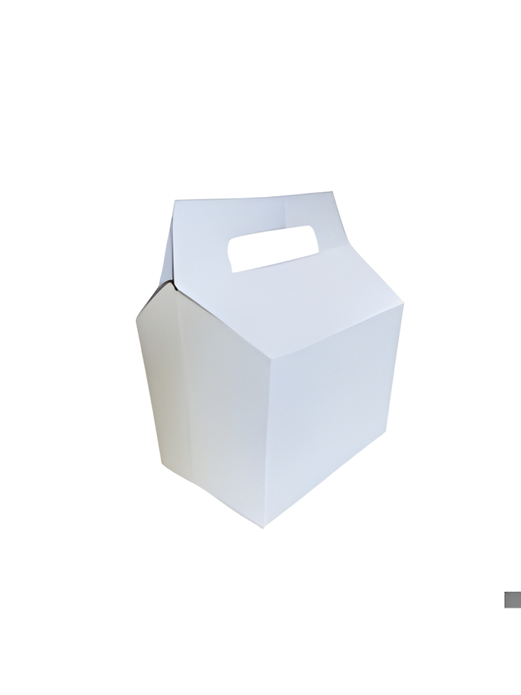 CARTÓN CAJA DELIVERY PARA PAPAS FRITAS 1