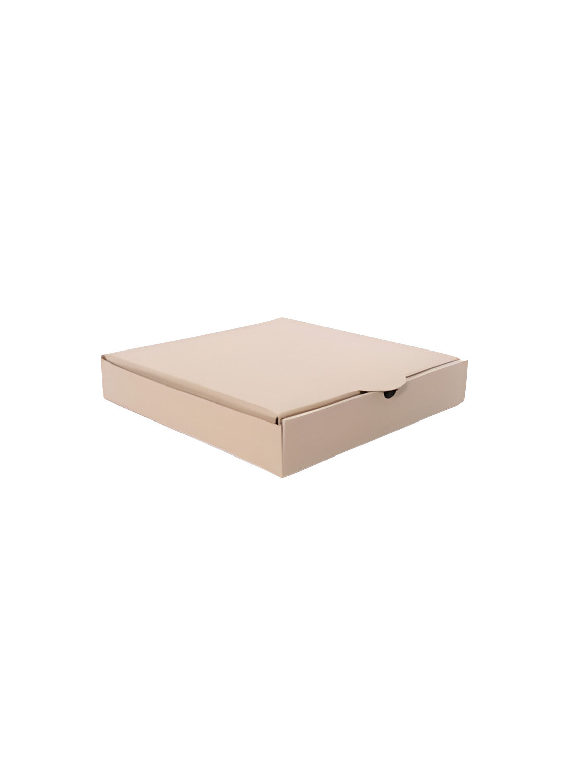  CARTÓN CAJA PIZZA 1