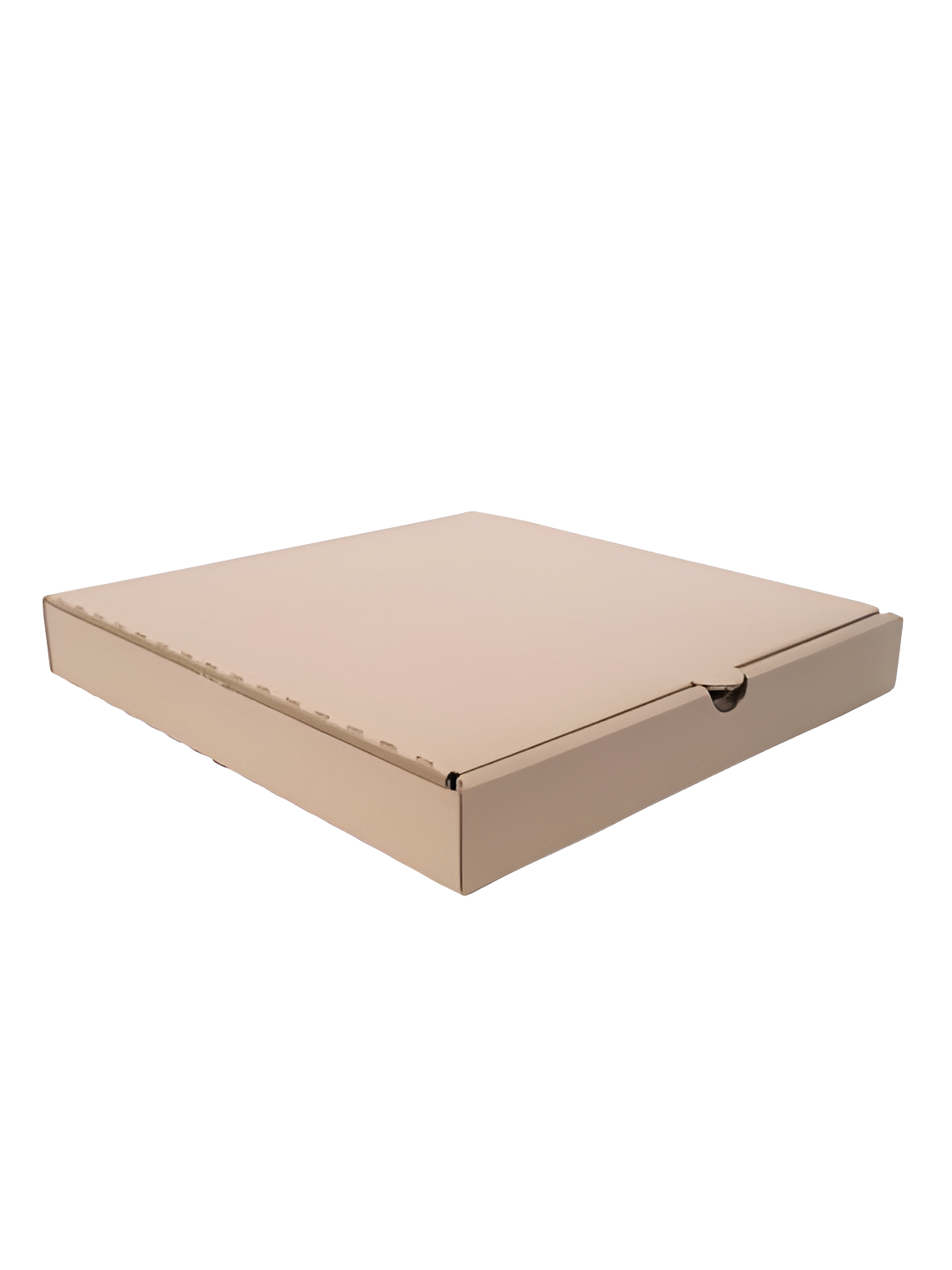  CARTÓN CAJA PIZZA 3