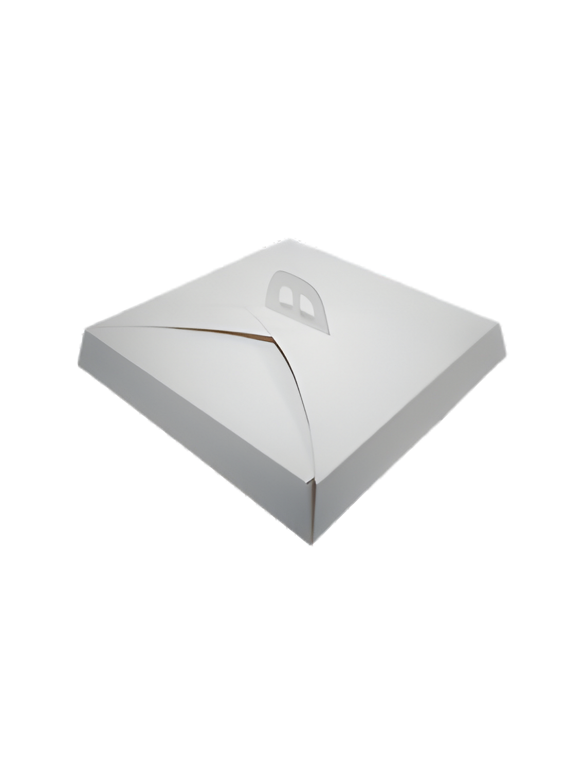  CAJA PARA TORTA CARTON 4