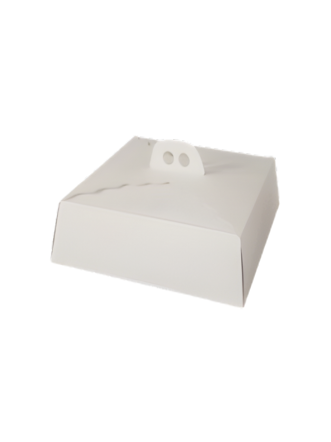  CAJA PARA TORTA CARTON 1