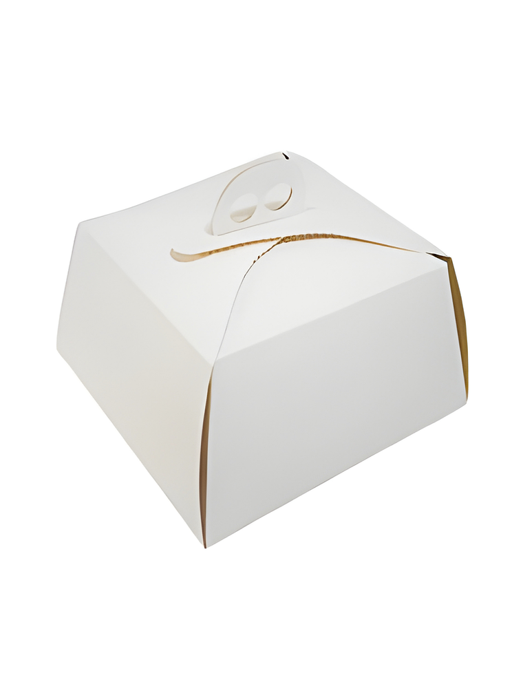  CAJA PARA TORTA CARTON 3