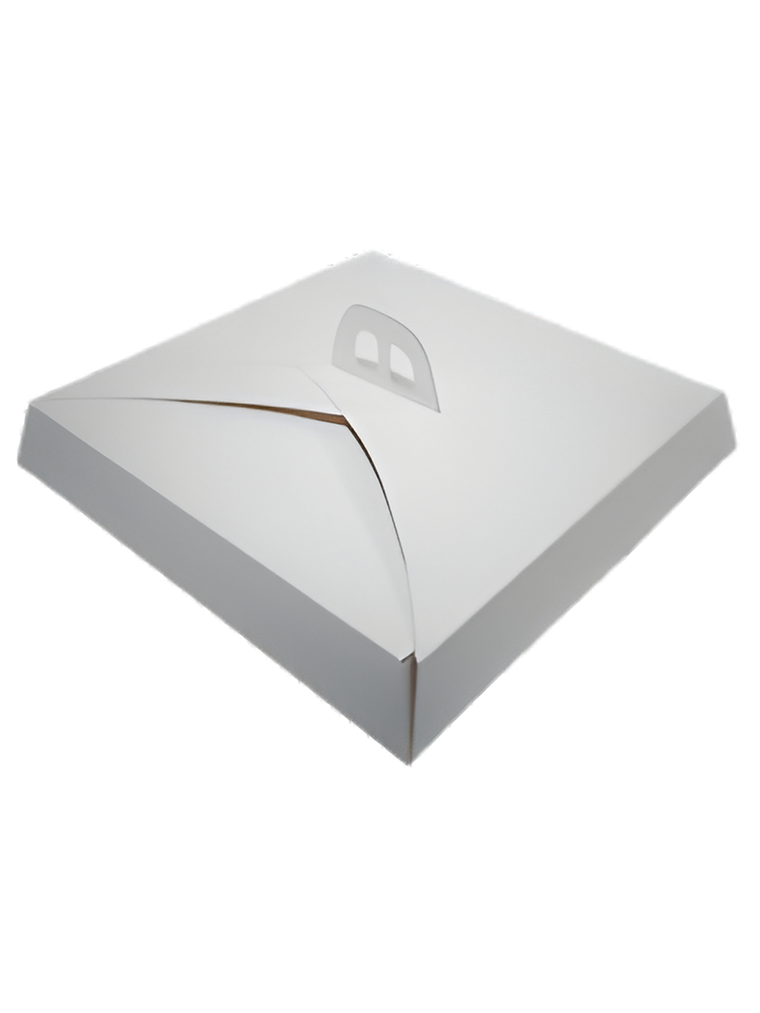  CAJA PARA TORTA CARTON 5