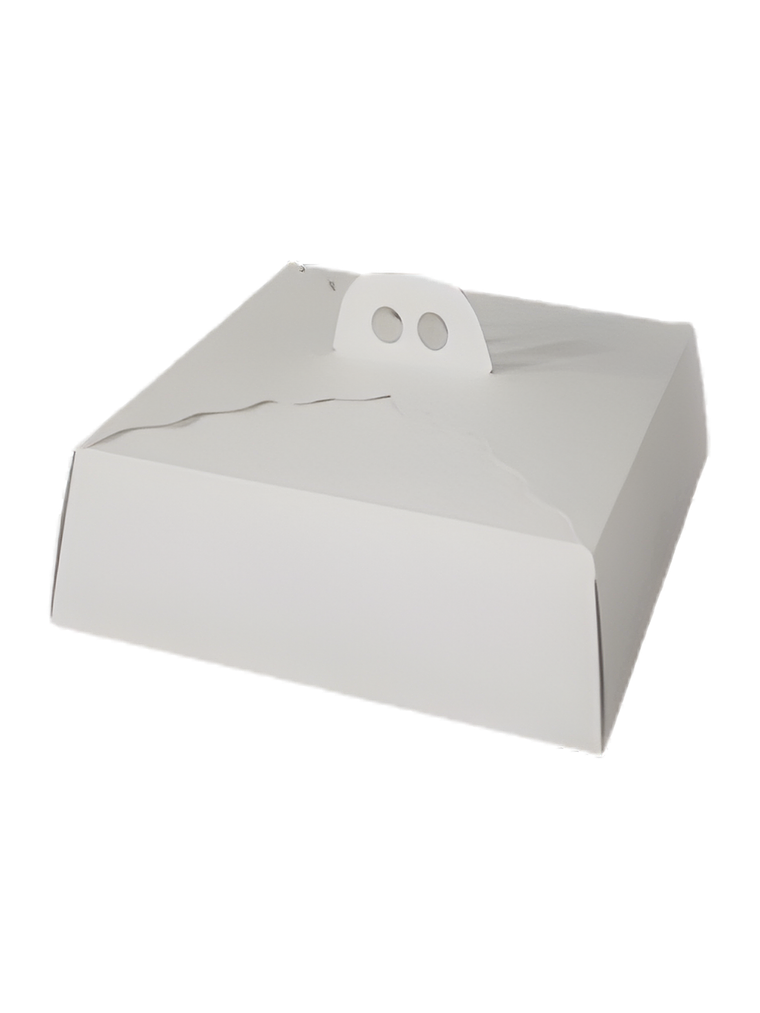  CAJA PARA TORTA CARTON 2