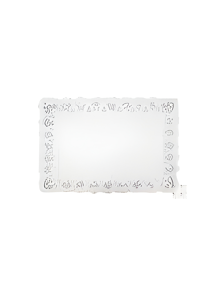 BANDEJA RECTANGULAR O CIRCULARES 3