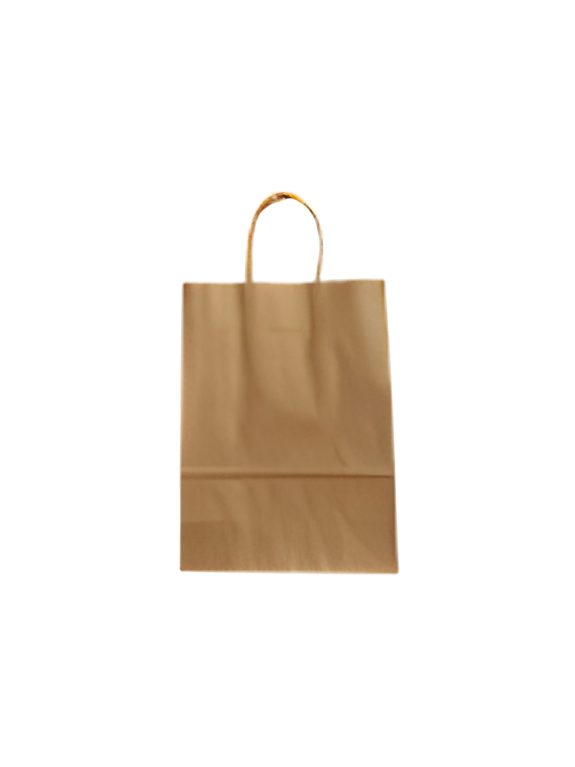 BOLSAS DELIVERY CON ASA 2