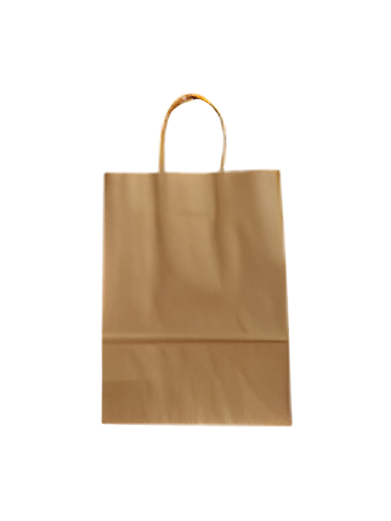 BOLSAS DELIVERY CON ASA 3