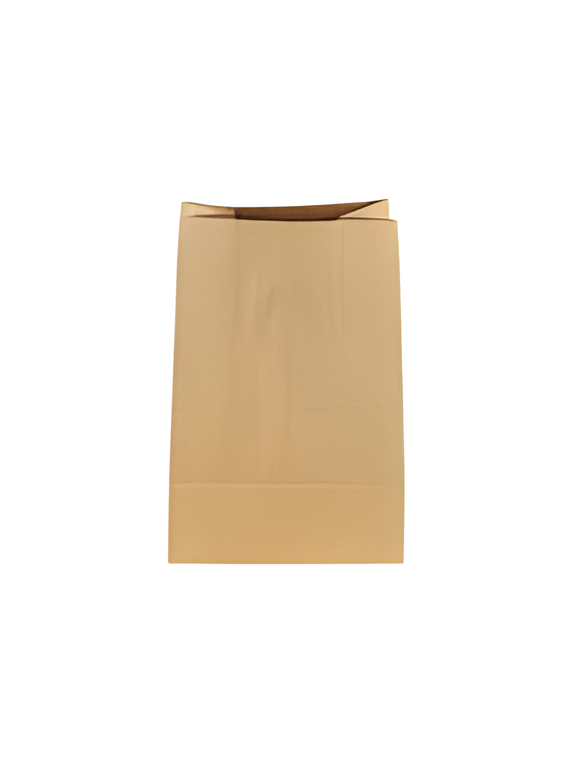 BOLSAS DELIVERY SIN ASA 1