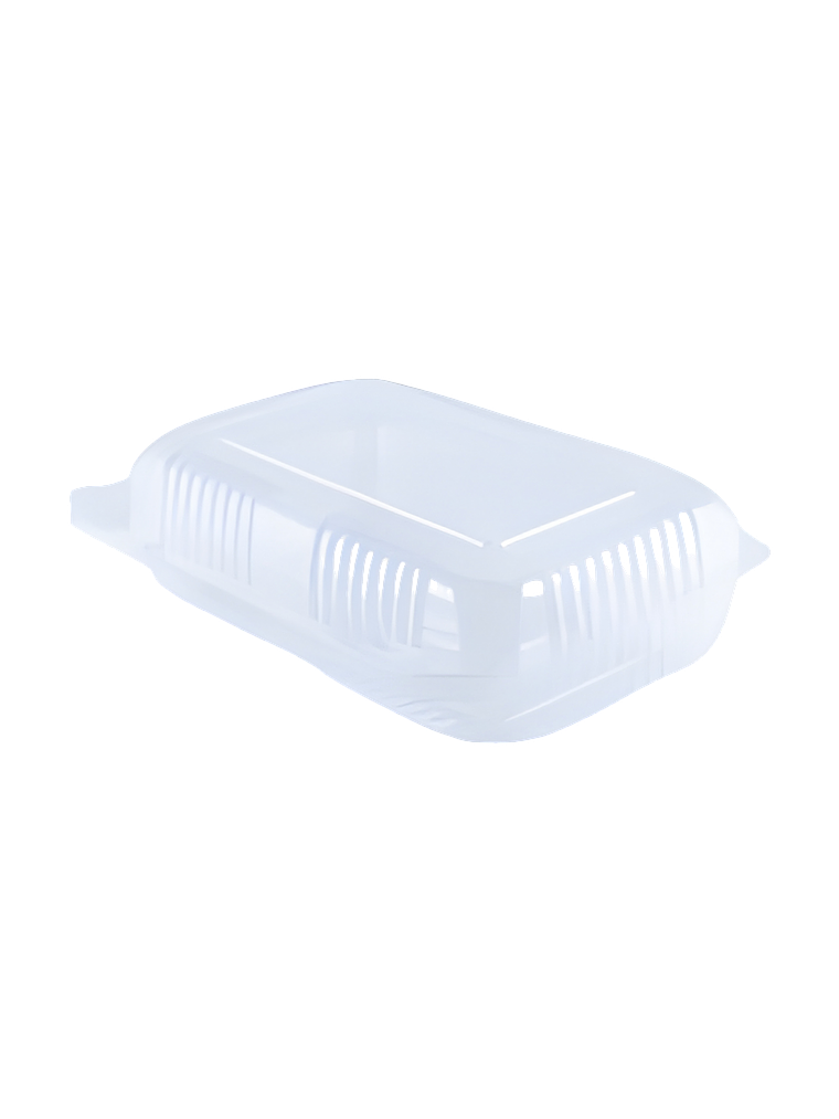 PLÁSTICO ENVASES TERMAFORMADO 1