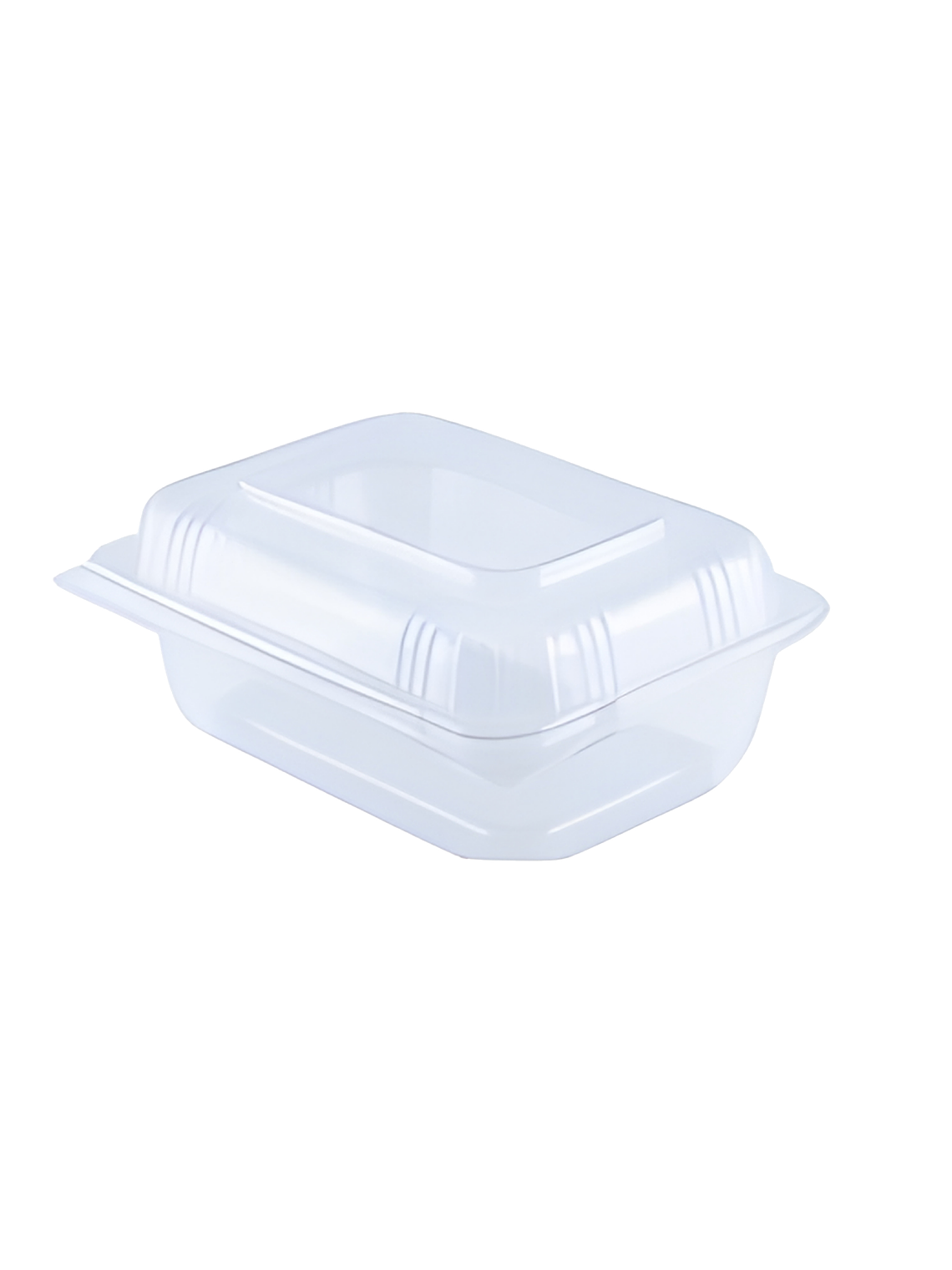 PLÁSTICO ENVASES TERMAFORMADO 2