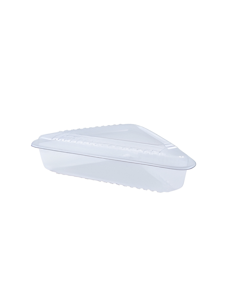 PLÁSTICO ENVASES TERMAFORMADO 6