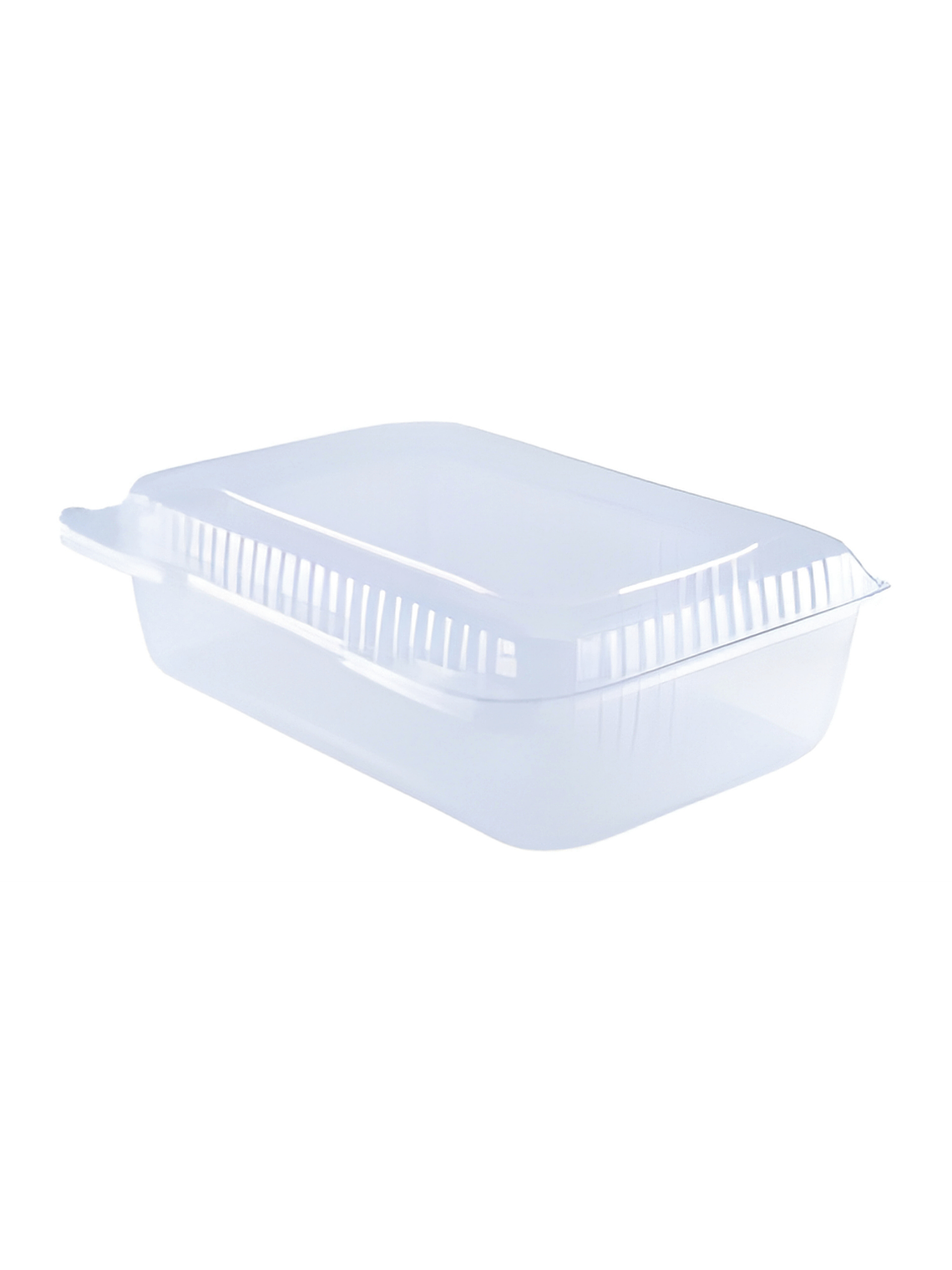 PLÁSTICO ENVASES TERMAFORMADO 7