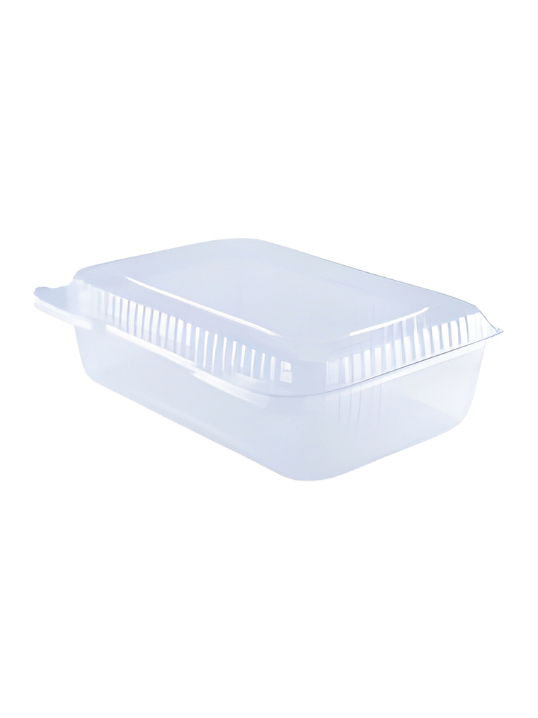 PLÁSTICO ENVASES TERMAFORMADO 7