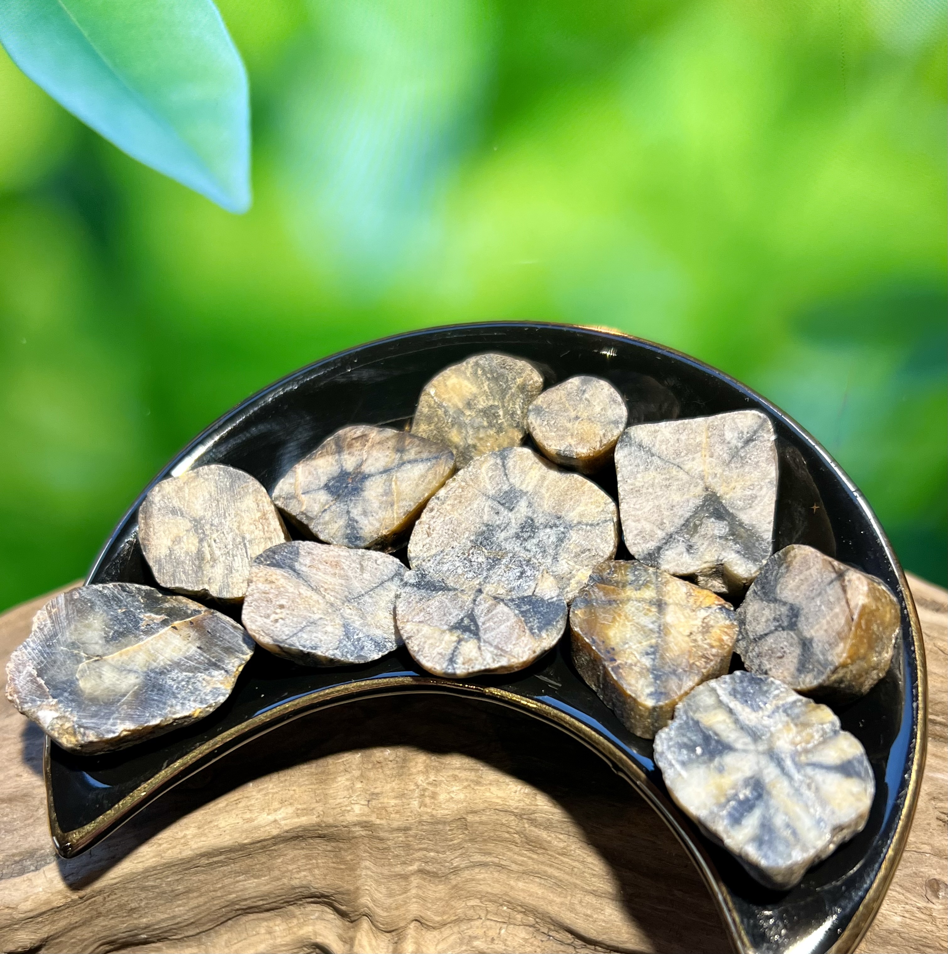 QUIASTOLITA O PIEDRA CRUZ