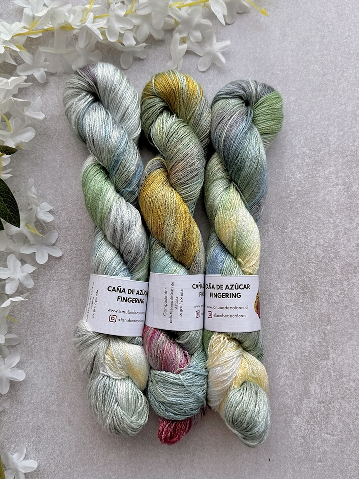 Caña de azúcar Fingering 8