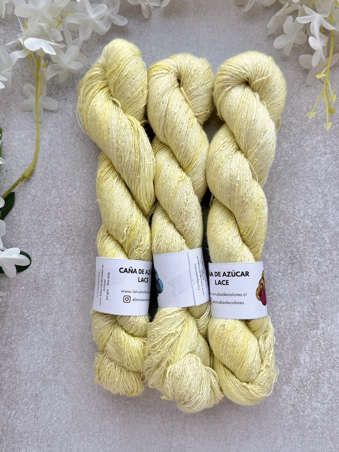 Caña de azúcar Lace 1