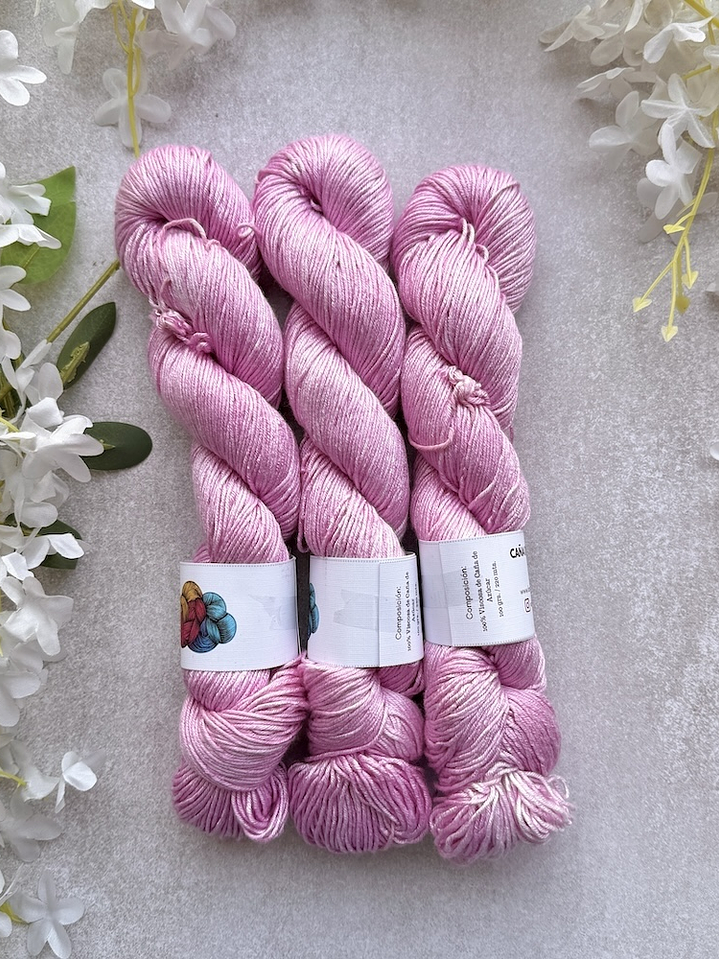 Caña de azúcar DK 6