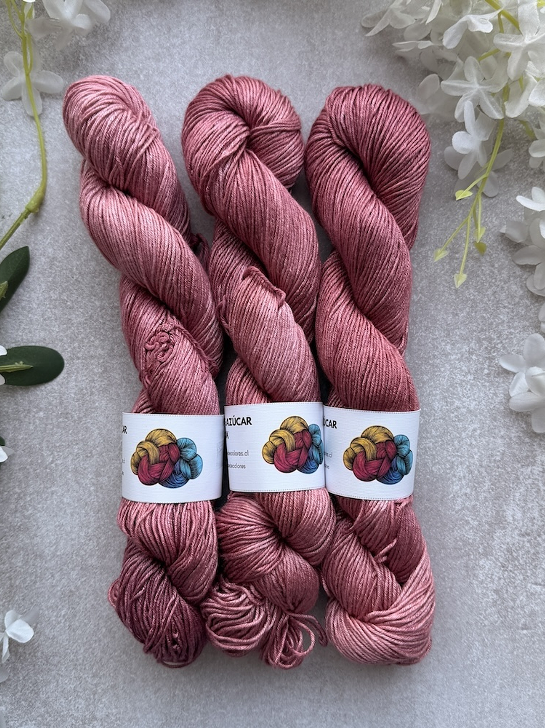 Caña de azúcar DK 8