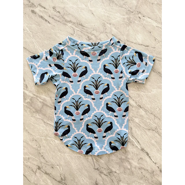 PETS: Aves negras | Talla M (4)